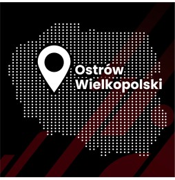8w1 Folia karbonowa na słupki do Renault R4 (2025-2026)
